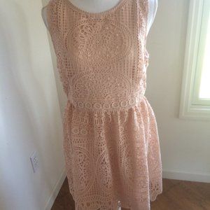 Pick Lace Dress Size Large